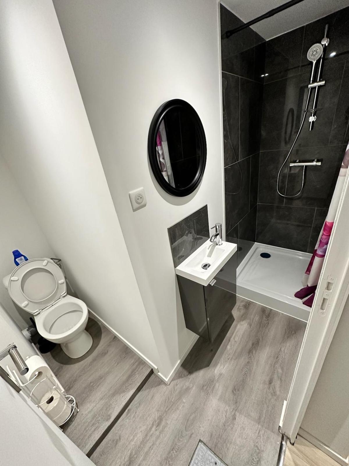 Cosy Citadin Apartment Мюлуз Екстериор снимка